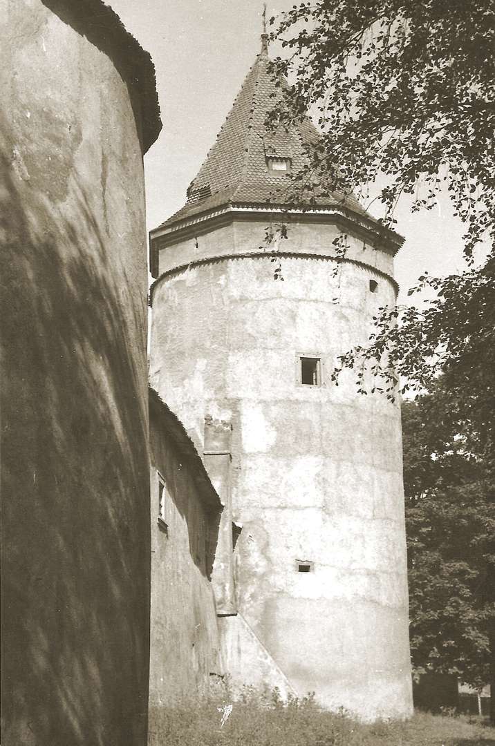 Mestské privilégiá